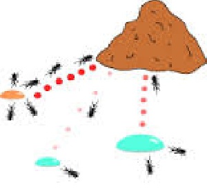کد پیاده سازی مقایسه کارایی اجرای سریال و موازی الگوریتم بهینه سازی کلونی مورچگان برای حل مسئله فروشنده دورهگرد با متلب
